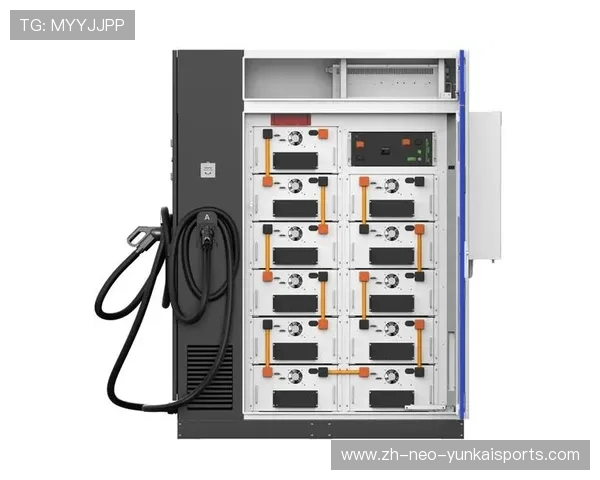 17万的储能一体机也能网购?今年“双11”成了储充设备“种草”节