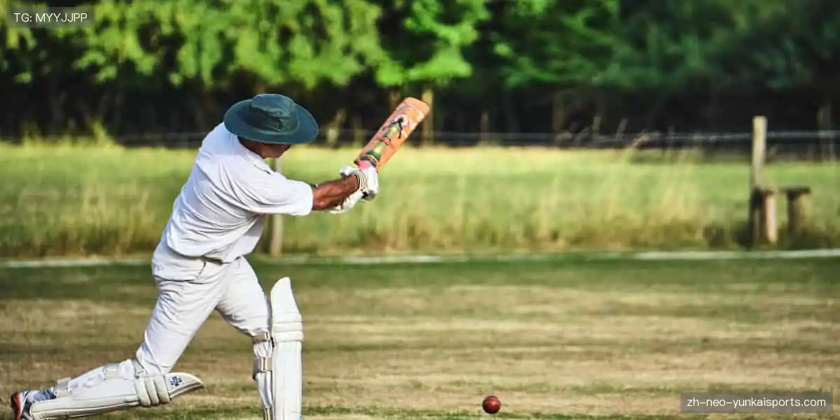 🌐📺 全球直播,同步狂欢!